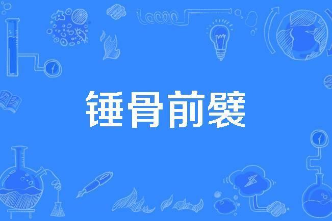錘骨前襞 錘骨前襞