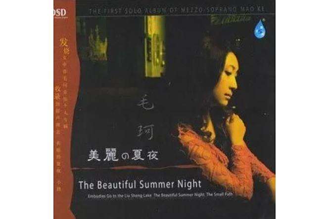 美麗的夏夜 美麗的夏夜