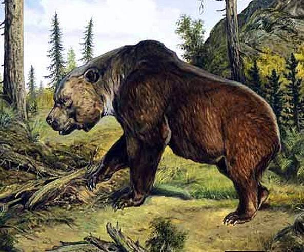 熊齒獸 熊齒獸