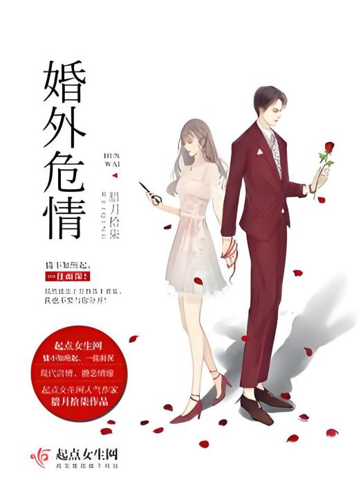 婚外危情 婚外危情