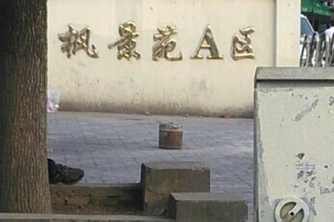 楓景苑A區 楓景苑A區