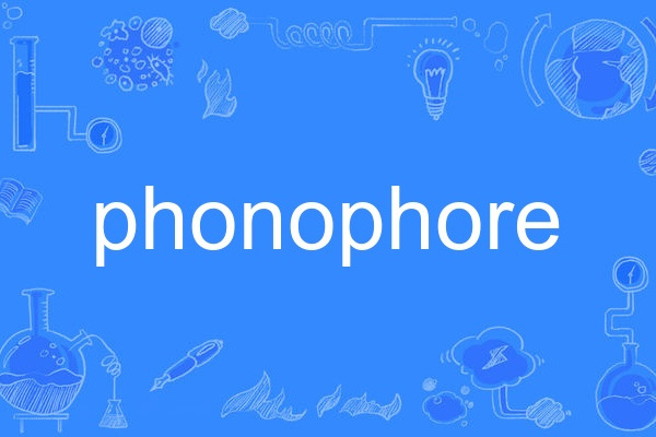 phonophore phonophore
