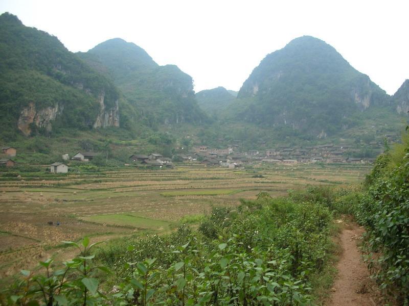 細掌村 細掌村