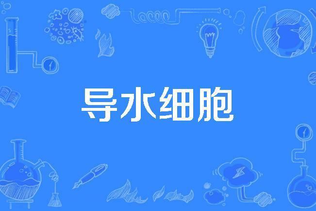 導水細胞