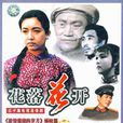 花落花開(電視劇花落花開) 花落花開(電視劇花落花開)