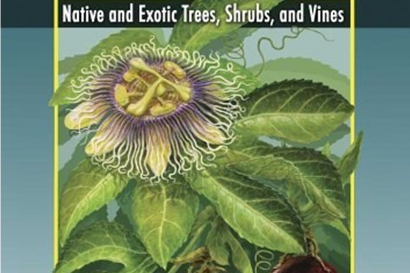 Florida\x27s Best Fruiting Plants Florida\x27s Best Fruiting Plants