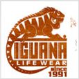 IGUANA IGUANA