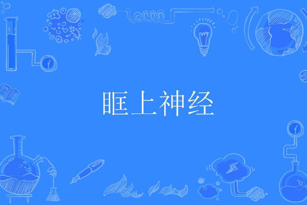 眶上神經