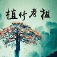 植修老祖 植修老祖