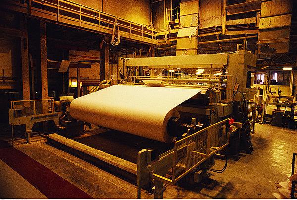 造紙廠