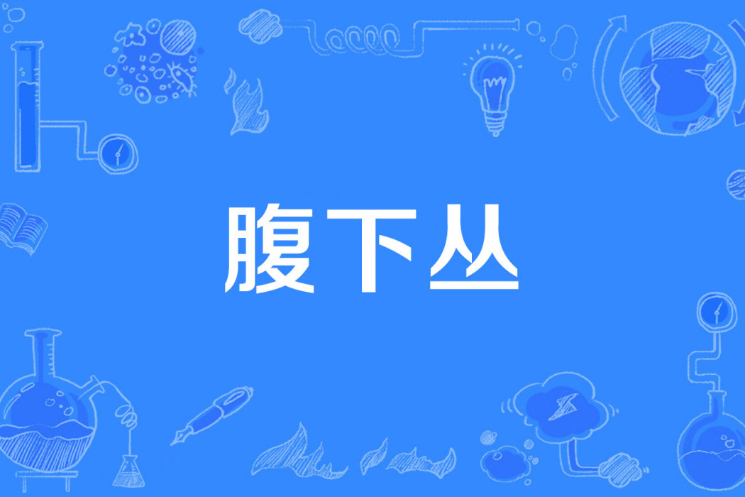 腹下叢 腹下叢