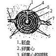 卵黃心 卵黃心