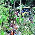 8·21馬來西亞客車墜谷事故(8·21雲頂高原大巴墜崖事故)