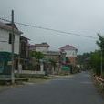 鳳凰廟村(四川省巴中市巴州區興隆場鄉下轄村) 鳳凰廟村(四川省巴中市巴州區興隆場鄉下轄村)