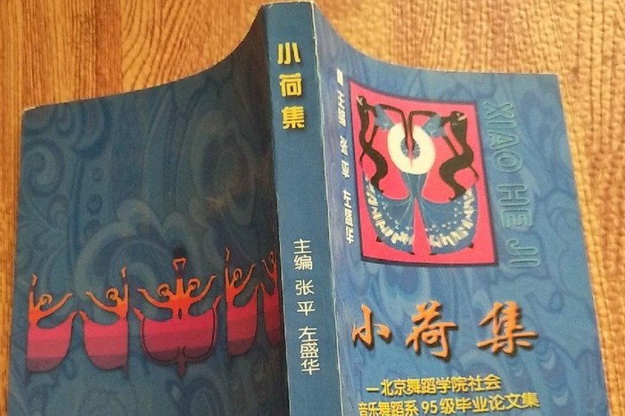 小荷集(2000年海潮出版社出版的圖書)