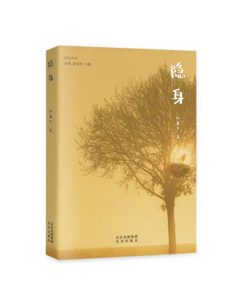隱身(2023年北京出版社出版的圖書) 隱身(2023年北京出版社出版的圖書)