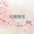 月照殘雪 月照殘雪