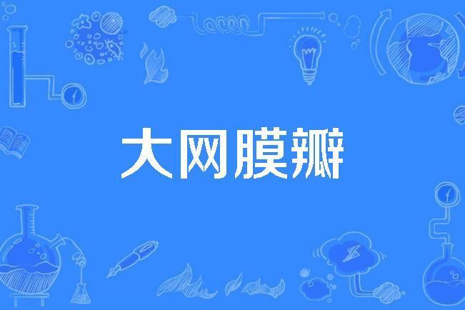 大網膜瓣 大網膜瓣