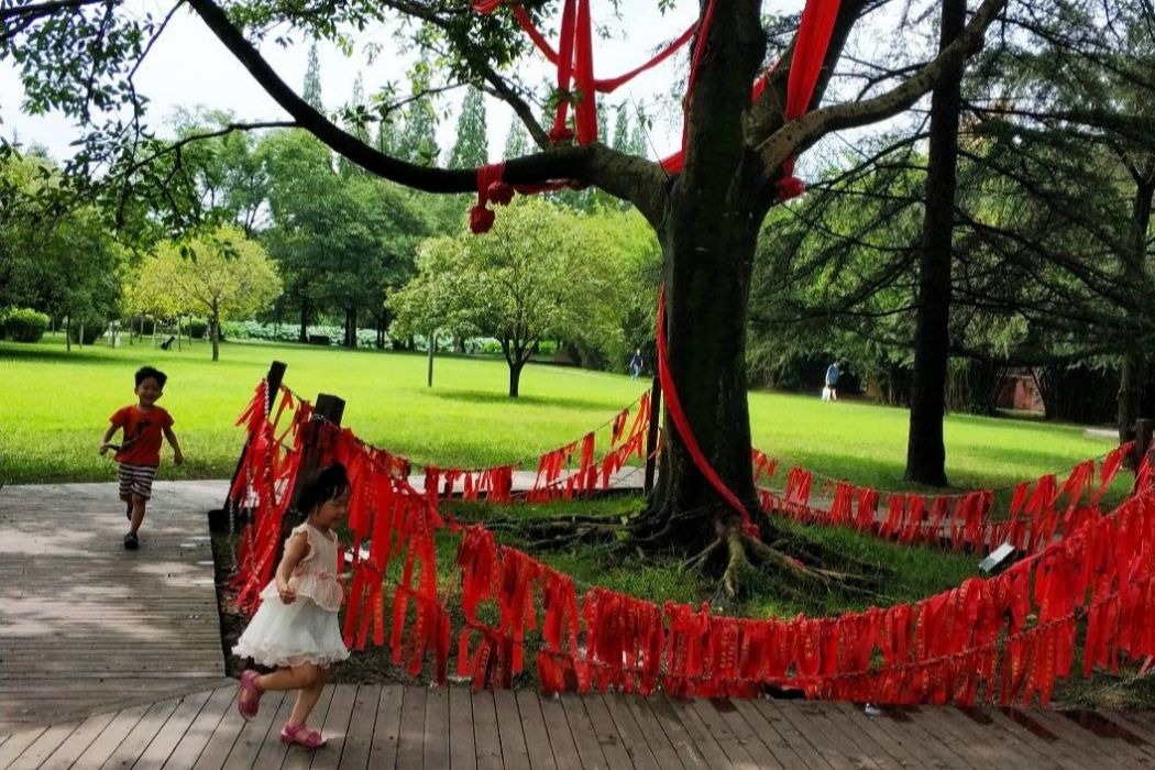園樹遊園