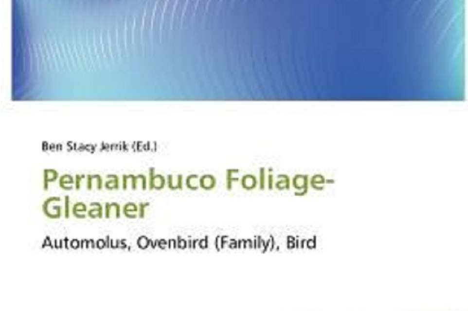 Pernambuco Foliage-Gleaner