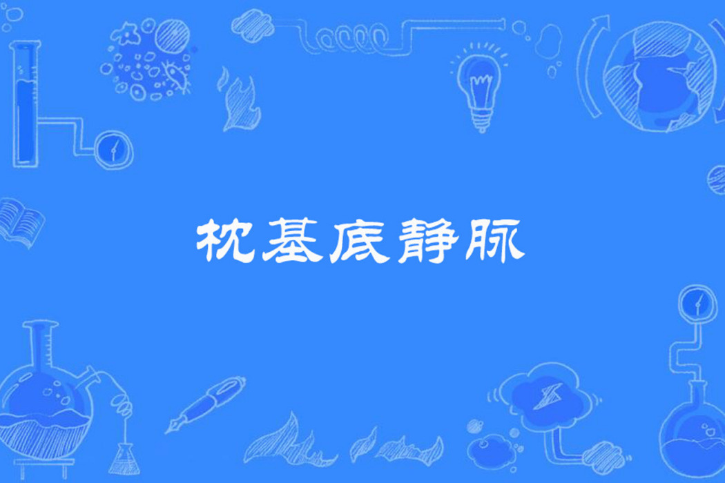 枕基底靜脈 枕基底靜脈
