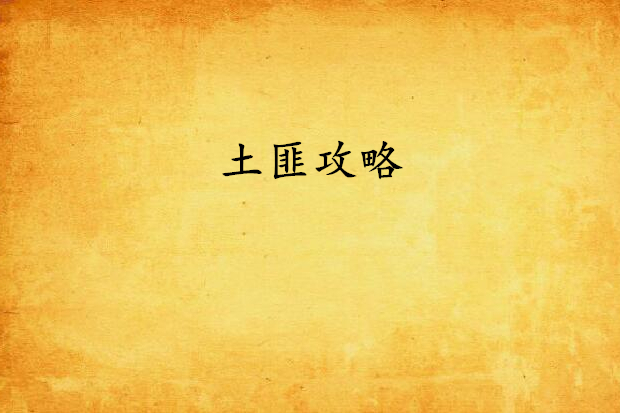 土匪攻略 土匪攻略
