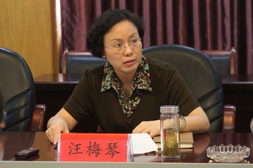 汪梅琴 汪梅琴