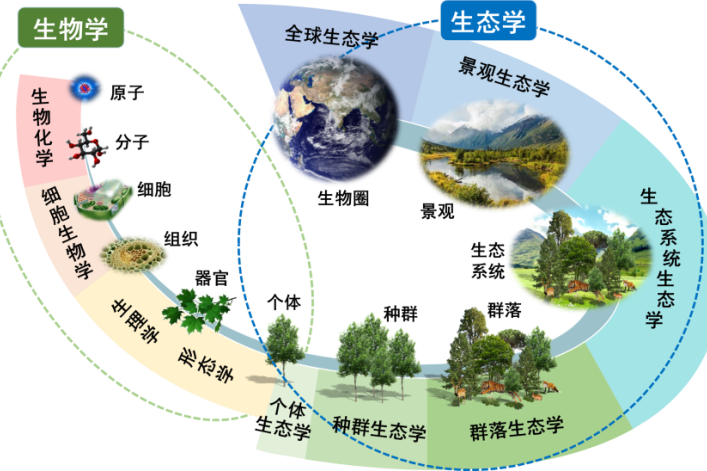 生態學(自然科學學科) 生態學(自然科學學科)