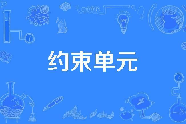 約束單元 約束單元