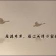 雁過寒潭 雁過寒潭