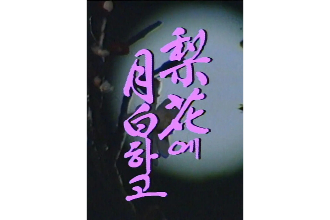 梨花月白
