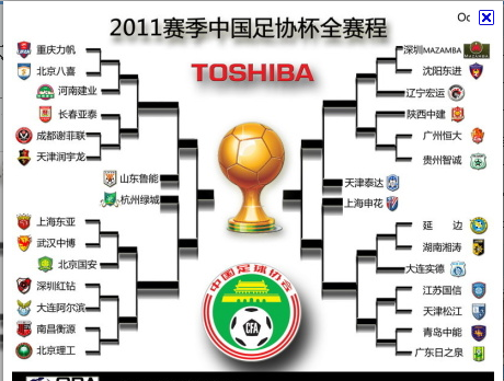 2011年中國足協杯