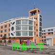 田南國小