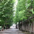 龔坊鎮 龔坊鎮