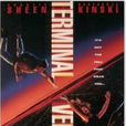 終極速度(德蘭·薩拉菲安導演電影(1994年)) 終極速度(德蘭·薩拉菲安導演電影(1994年))