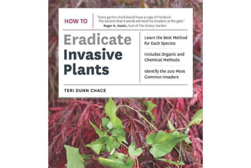 How to Eradicate Invasive Plants How to Eradicate Invasive Plants