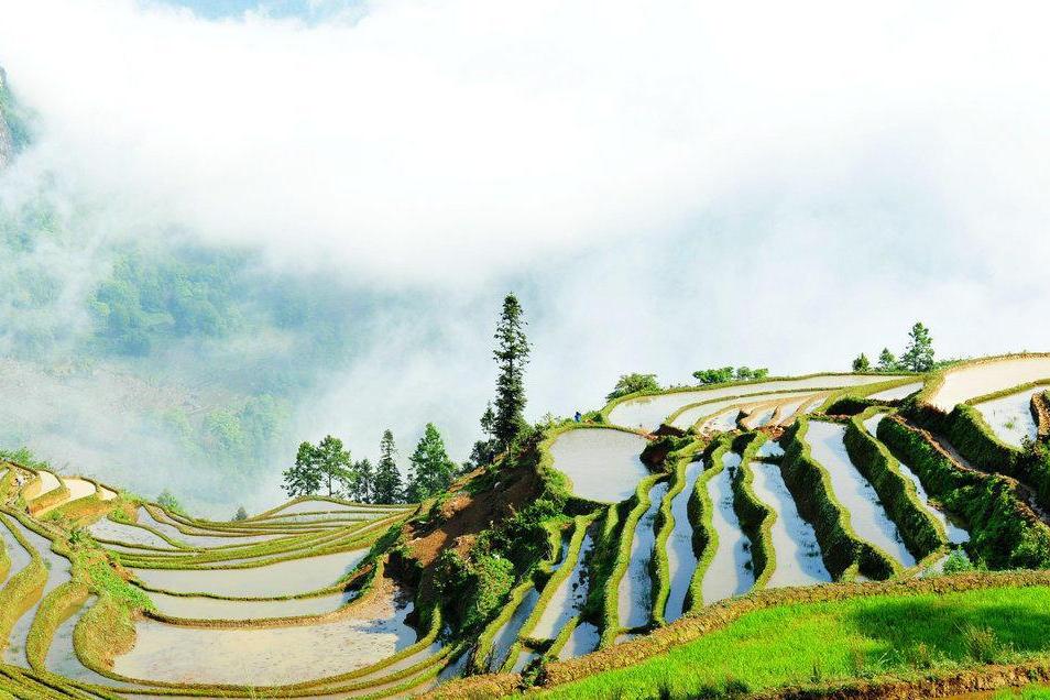 冷家大寨村