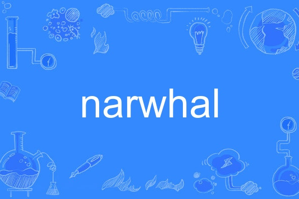 narwhal narwhal