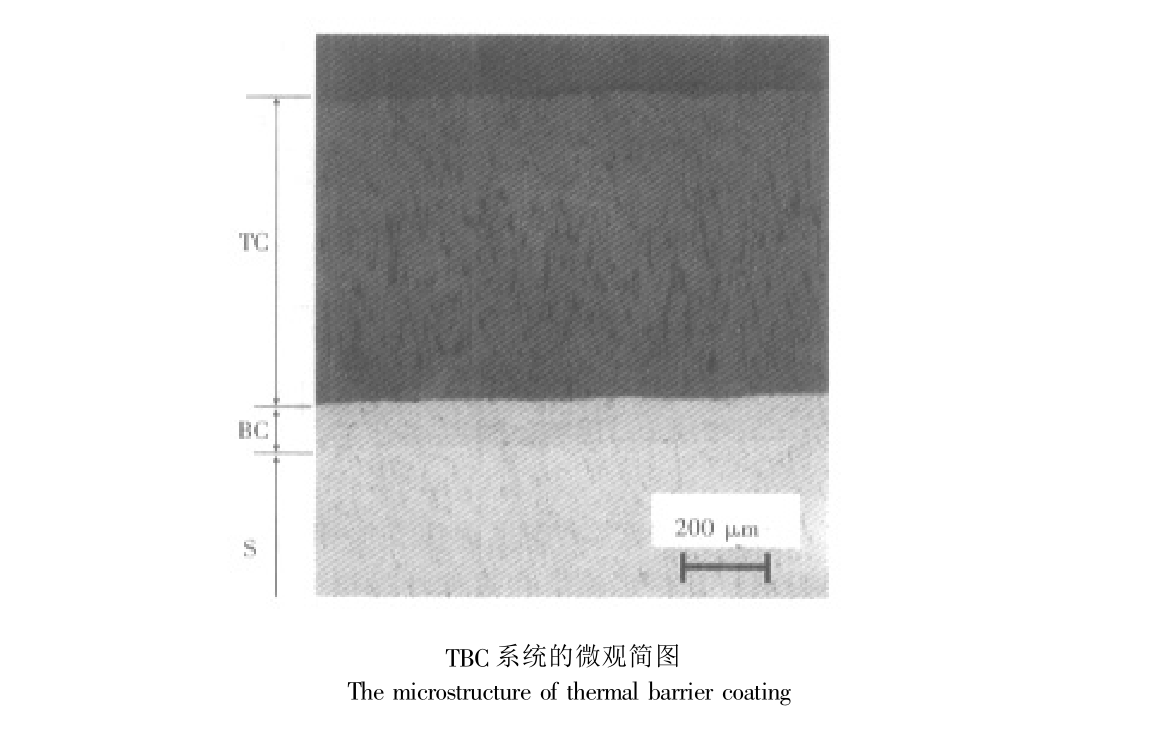 熱障塗層橫截面微觀簡圖