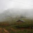 麥地坪村(永勝縣六德僳僳族彝族鄉團結村委會麥地坪村) 麥地坪村(永勝縣六德僳僳族彝族鄉團結村委會麥地坪村)
