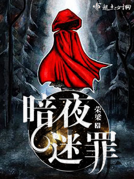 暗夜迷罪 暗夜迷罪