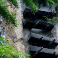 都掌族 都掌族
