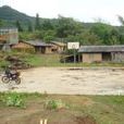 茶場村(雲南省大理州巍山縣青華鄉中窯村轄自然村)
