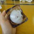 胎兒3D模型 胎兒3D模型