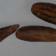 無漏子 無漏子