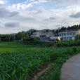 雙柳村(四川省劍閣縣元山鎮雙柳村) 雙柳村(四川省劍閣縣元山鎮雙柳村)
