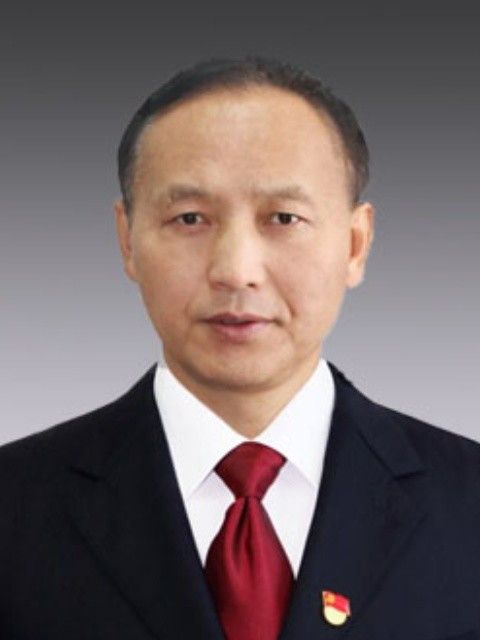 陳雷(遼寧省葫蘆島市委政法委副書記、葫蘆島市信訪局局長) 陳雷(遼寧省葫蘆島市委政法委副書記、葫蘆島市信訪局局長)