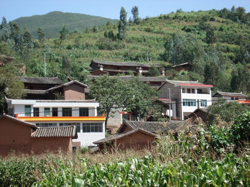 丫利廠村 丫利廠村