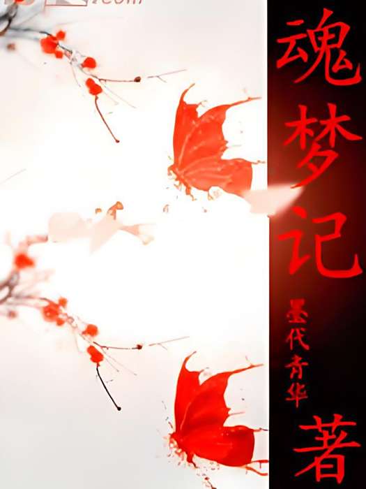 魂夢記 魂夢記