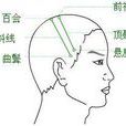 頭皮針法 頭皮針法